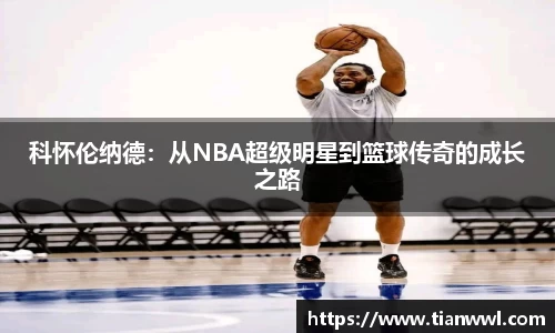 竞技宝JJB